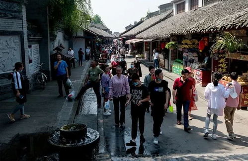 游客旅游市场概况及发展趋势