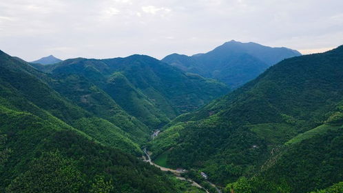 桐庐分水镇经济