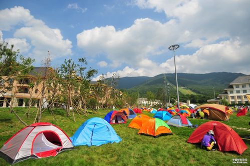 9夏游祭露营体验