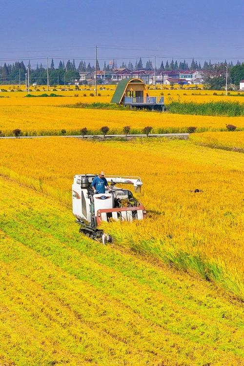 句容茅山镇绘好"宜居,民富,善治"新画卷|乡村治理|道路建设