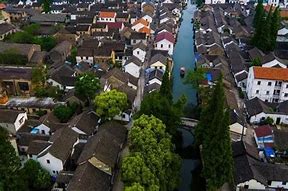 苏州市相城区漕湖街道五星河塘岸边生机勃勃，诉说着初夏的诗意