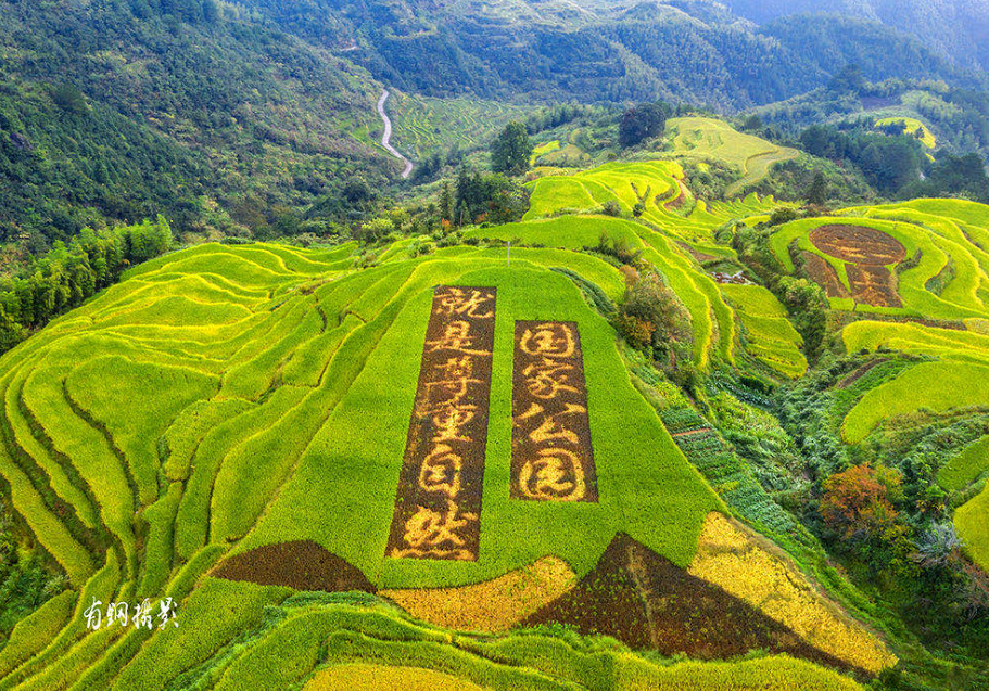 五一火爆！山西两大乡村游线路，网红打卡地等你解锁！