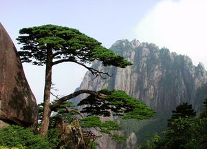 安徽黄山景区门票多少钱一张