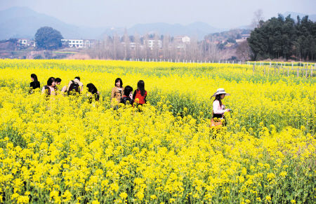 山西大同的旅游景点大全