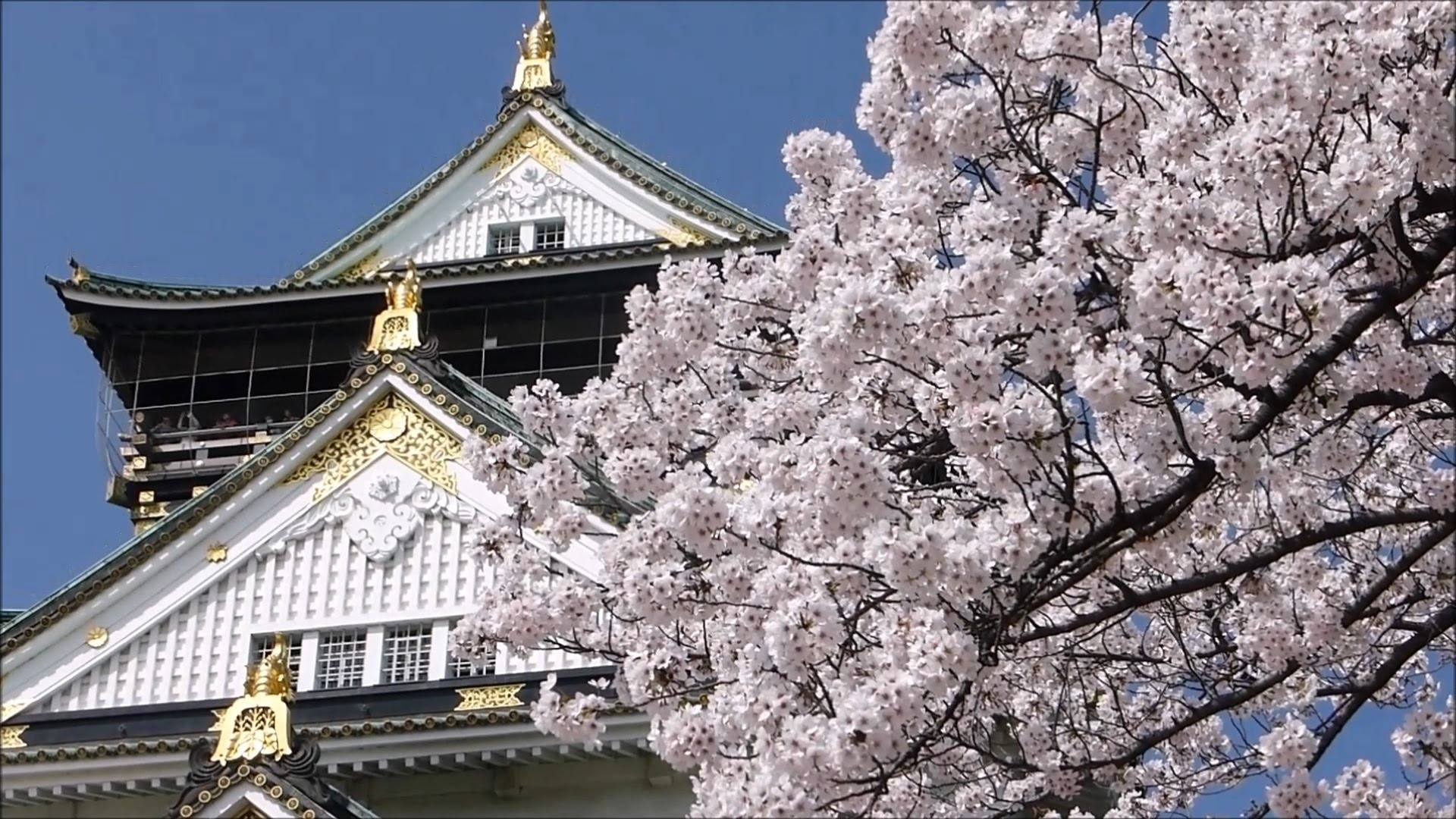 春节去哪里旅游好呢