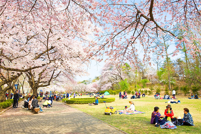 清明节旅游景点