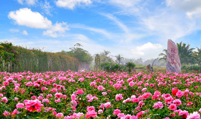 春节适合去哪里旅游经济实惠(春节适合带孩子去旅游的地方)