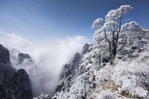 冬天适合去的旅游胜地推荐